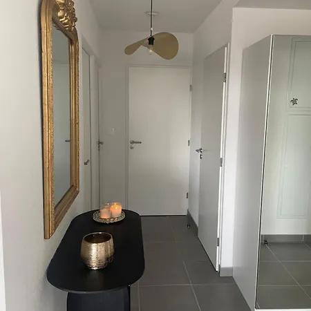 Embarquer Sur Le Navire *