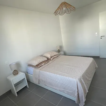 Embarquer Sur Le Navire Sète