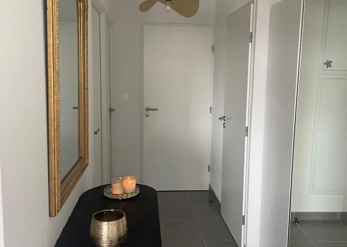 Embarquer Sur Le Navire *